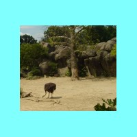 zoo 013.jpg